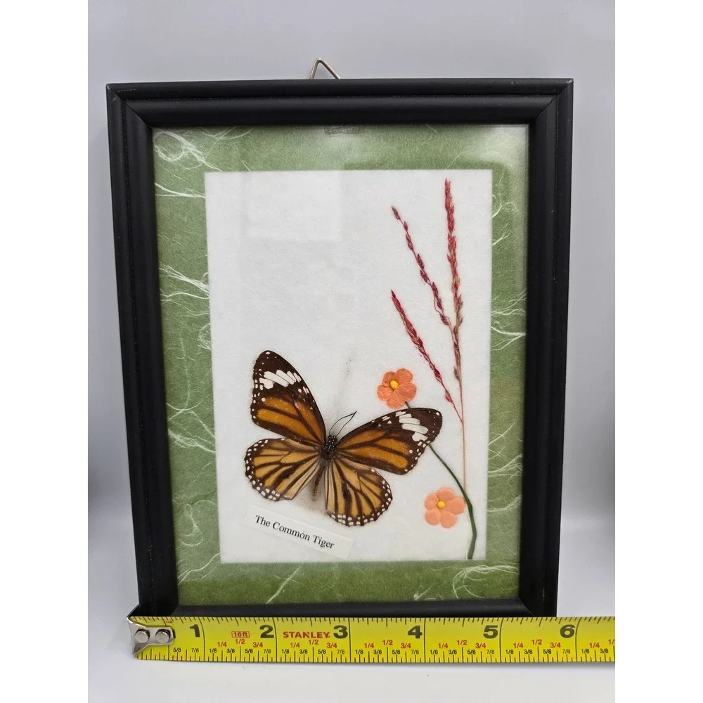 Set of 3 Framed Butterfly Art Collection Common Tiger Common Rose Lime Butterfly